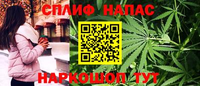 дживик Кунгур
