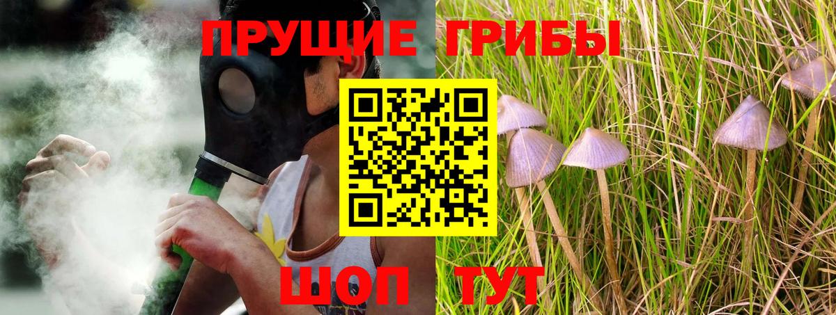 цена   Вход с VPN  Калач-на-Дону  Галлюциногенные грибы Psilocybine cubensis  Галлюциногенные грибы мицелий 